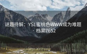 谜题待解：YSL蜜桃色WWW成为难题 · 档案7652