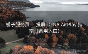 栀子服务页 — 投屏-DLNA-AirPlay 指南（备用入口）