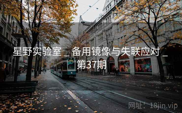 星野实验室 _ 备用镜像与失联应对 _ 第37期